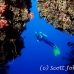 swimthru_cc_h_0705_png1686.jpg